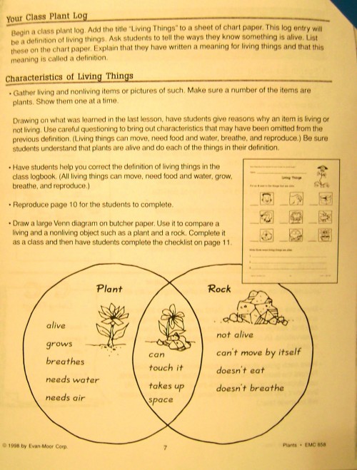 Sample Plants Lesson