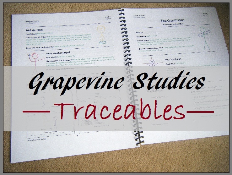 New Traceables from Grapevine Studies