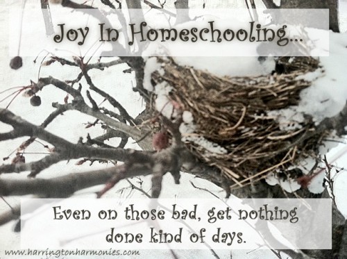 Joy in Homeschooling copy