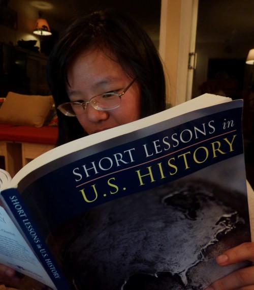 With short lessons, this book gives a clear overview of US History, with quizes, mapwork, and critical thinking questions to ponder.