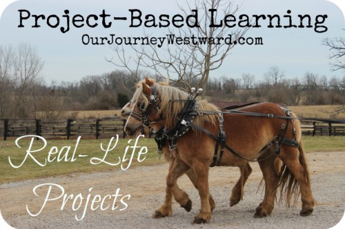 Project-based learning and more for middle school @Cindy West (Our Journey Westward)