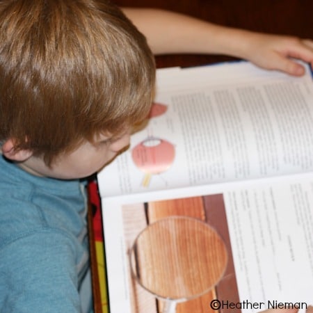 Review: Science In the Beginning by Dr. Jay L. Wile