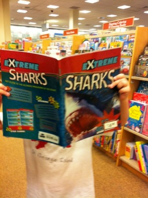 Extreme Sharks book