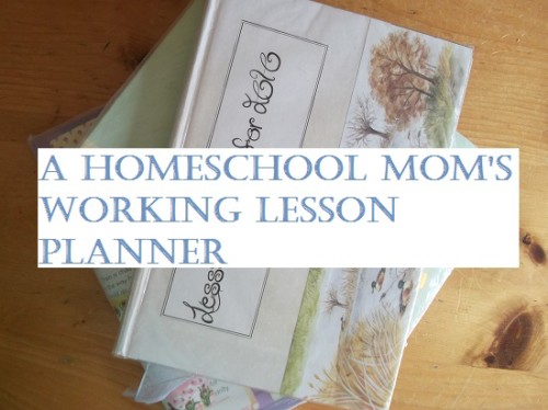 homeschool planning