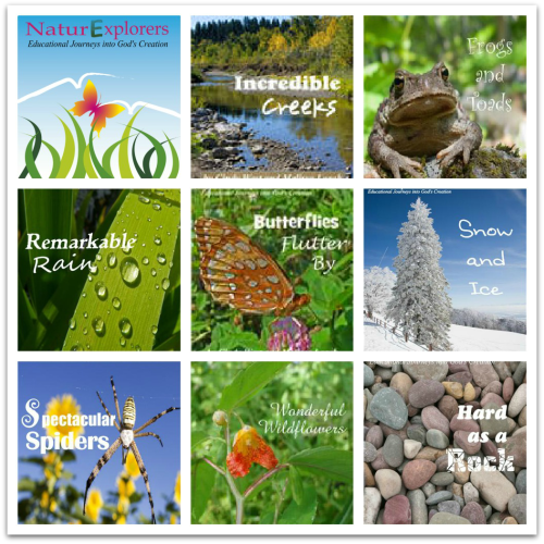 Science and Nature Study curriculum from the authors of Curriculum Choice (NaturExplorers by Shining Dawn Books)