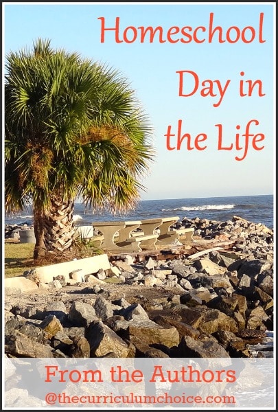 Homeschool Day in the Life - The Curriculum Choice