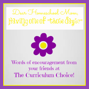 Homeschool Encouragement from The Curriculum Choice