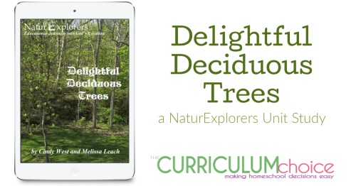 Review of NaturExplorers Delightful Deciduous Trees and how this unit study works for both new and seasoned homeschoolers!