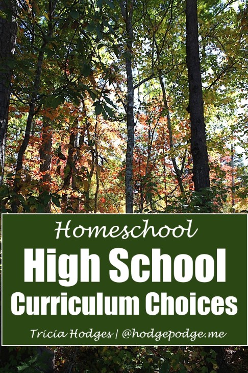 High-School-Curriculum-Choices-at-Hodgepodge-486x730