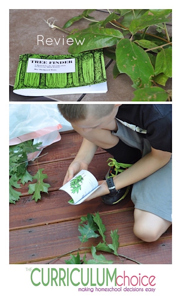 We picked up this really cool dichotomous key at a homeschool class we attended at our local nature center. It is a simple to use tree finder guide for identifying trees.