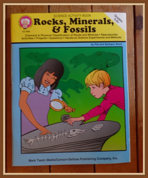 Middle School STEM Activity Books - Rocks, Minerals, & Fossils - My Review