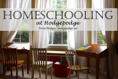 Homeschooling-at-Hodgepodge-www.hodgepodge.me_-580x386