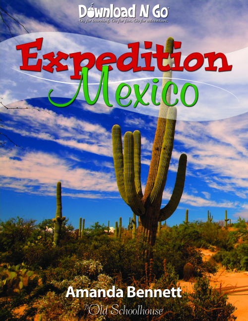 Expedition Mexico by AmandaBennett.com