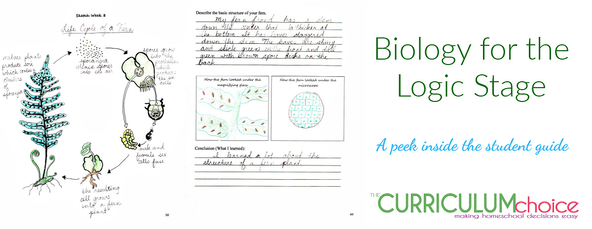 Biology for The Logic Stage is a 36 week classical science curriculum covering the study of plants, animal life, and the human body. A review from The Curriculum Choice