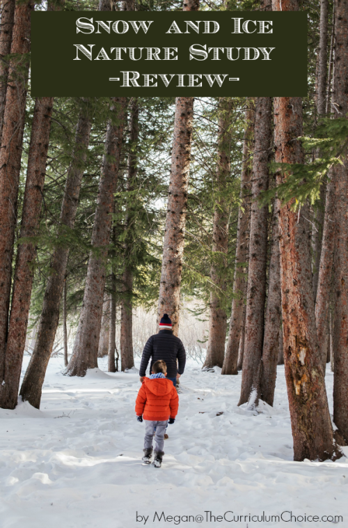 Snow and Ice Nature Study Review