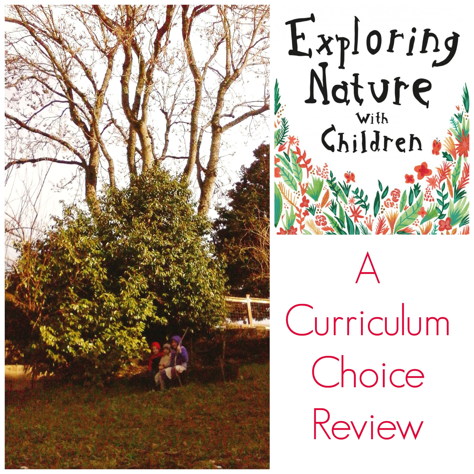 Exploring Nature with Children