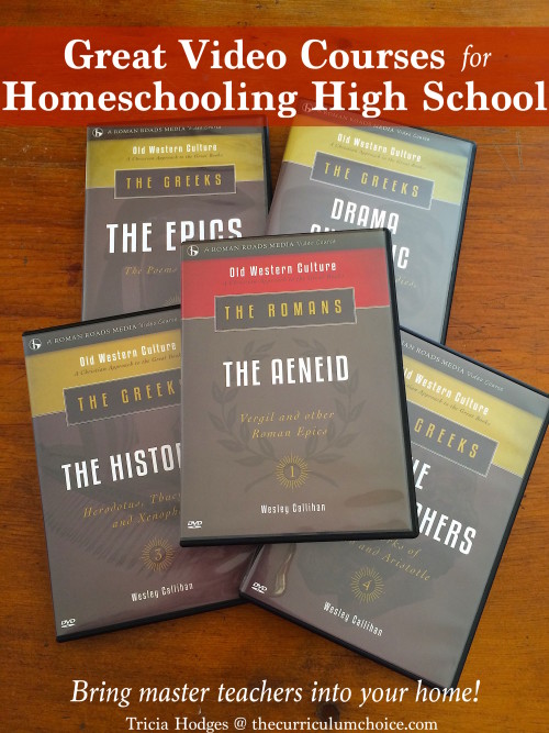 Great Video Courses for Homeschool - Bring Master Teachers into Your Home!