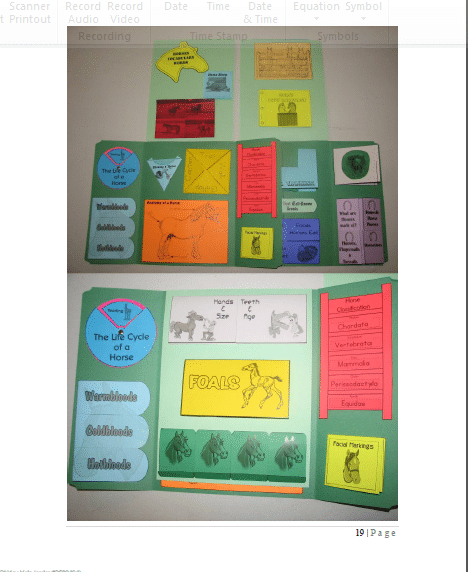 Sample Lapbook