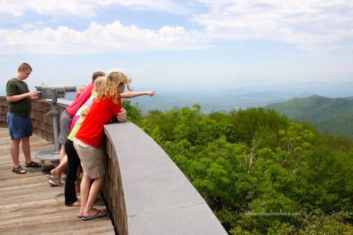 Tapestry of Grace inspired field trips