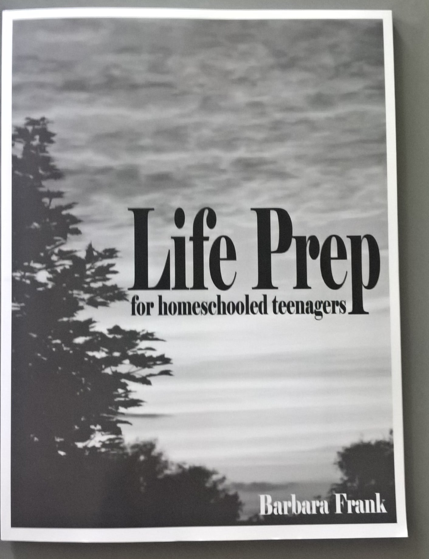 Life Prep for Homeschooled Teenagers