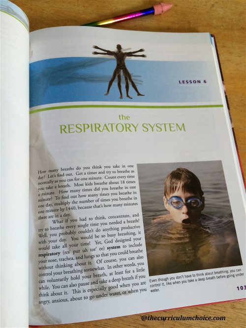 Respiratory system