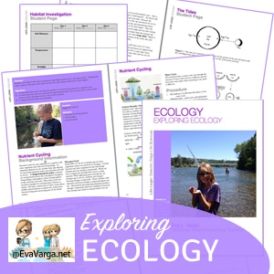 ecologygiveaway