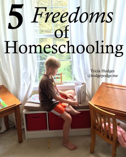 5-freedoms-of-homeschooling-580x725