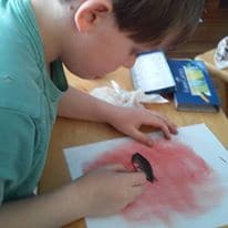 All online video art courses from ChalkPastel.com are appropriate for ALL ages. If they can hold the chalk pastel, they can do the drawing!