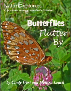 Spring, summer and autumn are the perfect months to study butterflies. Include a butterfly nature study each year with NaturExplorers Butterflies Flutter By