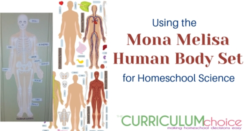 The Mona Melisa Human Body Set has been very useful to us as the perfect supplement to our homeschool science curriculum.