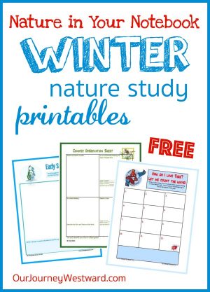 Free winter nature notebooking pages #naturestudy #winter