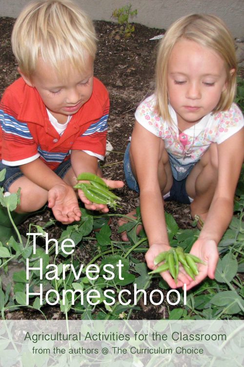 image of two young children with peas they collected in their garden