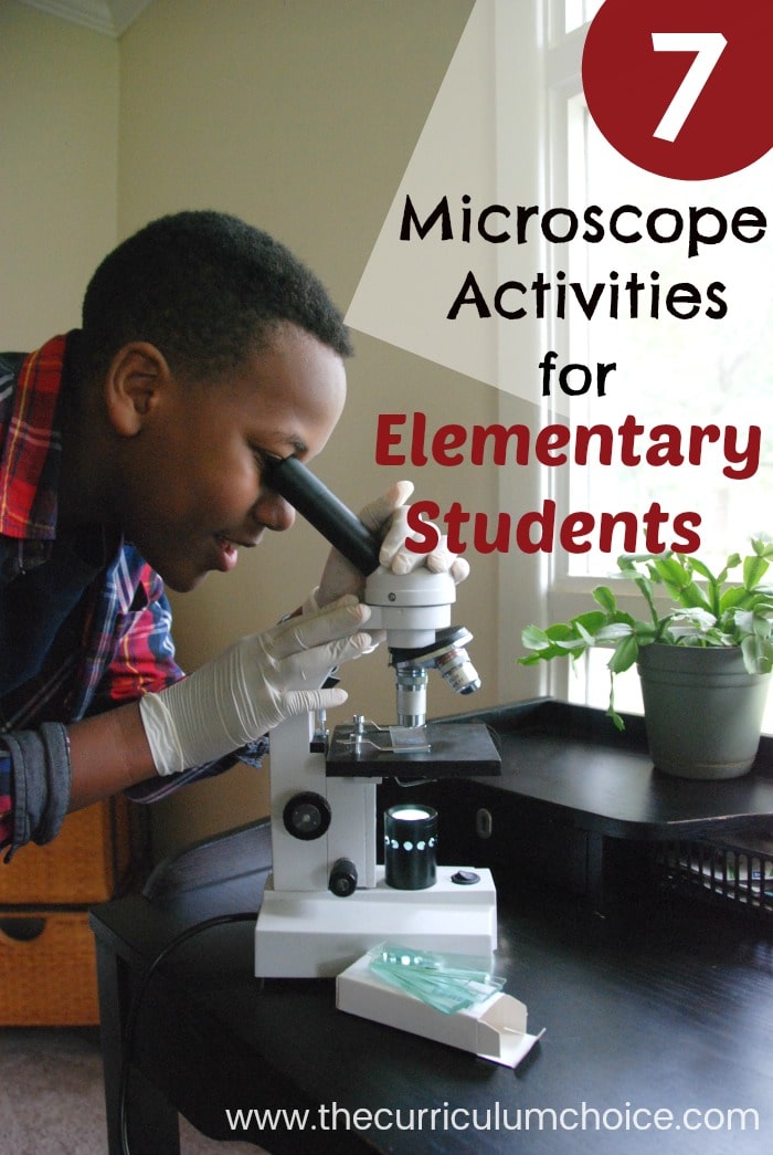 7 Fun Microscope Activities for Homeschool Elementary Students. My children get very excited using REAL science equipment! Your student might appreciate this hands-on learning. Microscopes and kits are pricier items to invest in — but can be used by multiple children for many years to come.