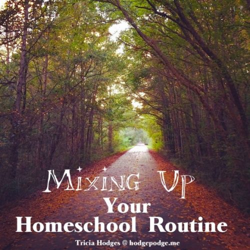 The Mobile Homeschool takes advantage of the tools and environments we find ourselves in and helps our homeschools to thrive no matter where we are. One of the most wonderful things about homeschooling is taking the show on the road.