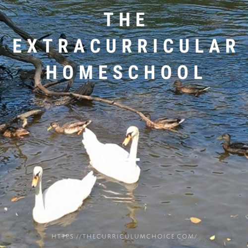 the extracurricular homeschool