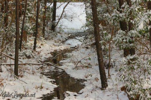 Welcome the true spirit of Christmas and allow ample time for snacking on peppermint candy canes, admiring poinsettia plants in the store, sipping hot cocoa, gazing at Christmas lights, and reading and re-reading the Christmas story in the book of Luke. Here are 5 December Homeschool Family fun Ideas!