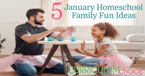 5 January Homeschool Family Fun Ideas Use these silly but actual celebrations to make every day a holiday! From the Curriculum Choice