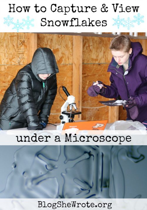 snowflakes under a microscope and students looking under a microscope