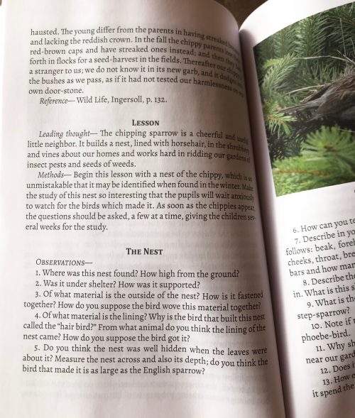 When I saw that Living Book Press was creating a new version of the Handbook of Nature Study updated with full color images, I was extremely excited! In addition, I learned they were splitting up the huge 900+ page book into seven smaller volumes.