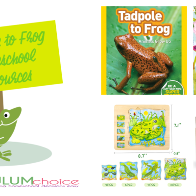 20 Tadpole to Frog Homeschool Resources Your Kids Will Love!