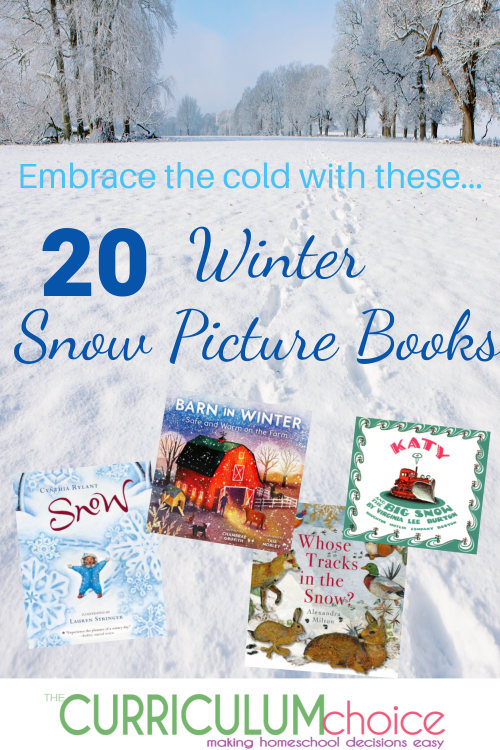 Embrace the cold with these winter snow picture books, non-fiction books, and activities! Learn about hibernation, snowflakes, and more!